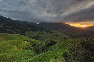 China, Guilin, Longsheng, Rice terrace China, Guilin, Longsheng, Rice terrace