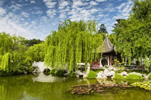 Chinese Garden Pond, Huntington Botanical Gardens, San Marino, California, USA Chinese Garden Pond, Huntington Botanical Gardens, San Marino, California, USA