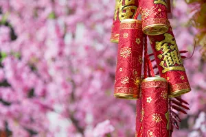 Chinese New Year decorations and plum blossom, Hong Kong Chinese New Year decorations and plum blossom, Hong Kong