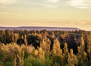 Patagonia Sunset Prints: Chubut Valley at sunset, elevated view, Gaiman, The Welsh Settlement, Chubut Province
