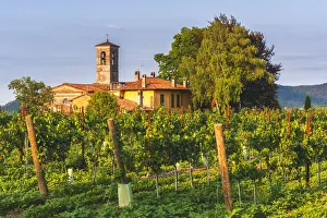 Church immersed in the Franciacorta vineyards, Brescia province, Lombardy district, Italy Church immersed in the Franciacorta vineyards, Brescia province, Lombardy district, Italy