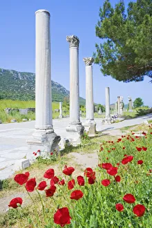 Classical columns located in the ancient commercial Agora, Ephesus, Turkey, Asia Minor Classical columns located in the ancient commercial Agora, Ephesus, Turkey, Asia Minor
