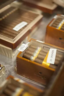 Cohiba cigars, Fabrica de Tabacos Patagas (famous cigar factory), Havana, Cuba Cohiba cigars, Fabrica de Tabacos Patagas (famous cigar factory), Havana, Cuba