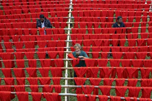 Colorful Thread Drying Print, Narayanganj