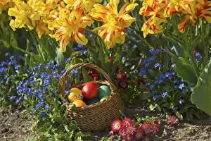 Traditional Easter Tradition Prints: colourful easter eggs in a basket
