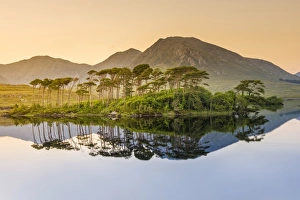 Connemara, County Galway, Connacht province, Republic of Ireland, Europe. Lough Inagh lake