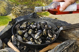 Cooking mussels at a beach barbecue on Colonsay Cooking mussels at a beach barbecue on Colonsay