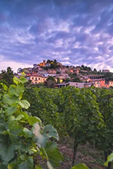 Corte de Lantieri winery, Brescia province, Lombardy district, Italy Europe Corte de Lantieri winery, Brescia province, Lombardy district, Italy Europe