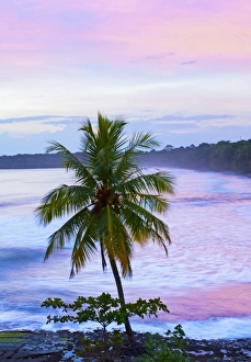 Costa Rica, Cahuita, Cahuita National Park, Lowland Tropical Rainforest, Caribbean Coast Costa Rica, Cahuita, Cahuita National Park, Lowland Tropical Rainforest, Caribbean Coast