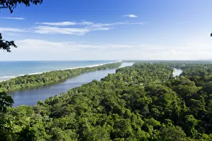 Costa Rica, Limon province, Limon, Tortuguero National Park, the Tortuguero river Costa Rica, Limon province, Limon, Tortuguero National Park, the Tortuguero river
