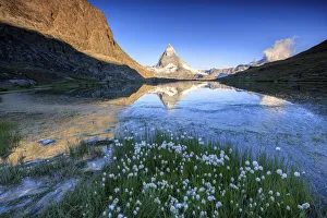 Cotton grass frame the Matterhorn reflected in Lake Stellisee at dawn Zermatt Canton Cotton grass frame the Matterhorn reflected in Lake Stellisee at dawn Zermatt Canton