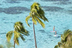 Couple paddleboarding in lagoon, Moorea, Society Islands, French Polynesia Couple paddleboarding in lagoon, Moorea, Society Islands, French Polynesia