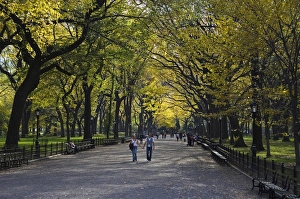 A couple walk through Central Park enjoying the autumn colours A couple walk through Central Park enjoying the autumn colours