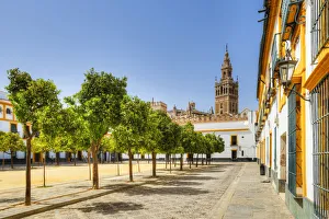 Court of Banderas with the Giralda tower of the Cathedral, UNESCO World Heritage Site Court of Banderas with the Giralda tower of the Cathedral, UNESCO World Heritage Site