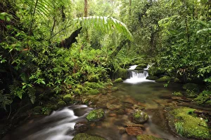 Creek at Parque Nacional de Amistad near Boquete, Panama, Central America Creek at Parque Nacional de Amistad near Boquete, Panama, Central America