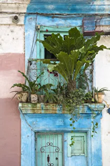 Cuba, Havana, Havana Vieje, Plants of house balcony Cuba, Havana, Havana Vieje, Plants of house balcony