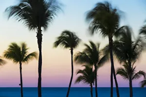 Cuba, Varadero, Palm trees on Varadero beach at sunset Cuba, Varadero, Palm trees on Varadero beach at sunset