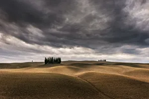 Cypresses and rolling hills near Montalcino, Val d'Orcia, Tuscany, Italy Cypresses and rolling hills near Montalcino, Val d'Orcia, Tuscany, Italy