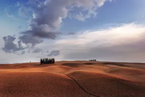 Cypresses and rolling hills at sunset near Montalcino, Val d'Orcia, Tuscany, Italy Cypresses and rolling hills at sunset near Montalcino, Val d'Orcia, Tuscany, Italy