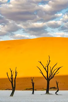 Deadvlei clay pan, Namib-Naukluft National Park, Namibia, Africa. Dead acacia trees Deadvlei clay pan, Namib-Naukluft National Park, Namibia, Africa. Dead acacia trees