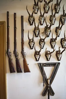 Denmark, Funen, Egeskov, Egeskov Castle, animal hunting trophies Denmark, Funen, Egeskov, Egeskov Castle, animal hunting trophies