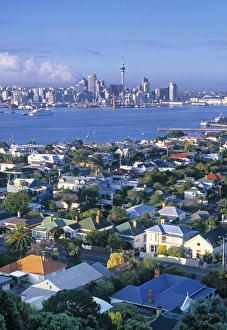 North Island New Zealand Prints: Devonport, Auckland