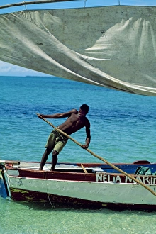 Traditional Sailing Boats Prints: Dhows alongside the beach