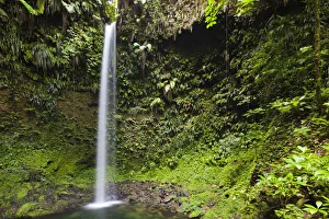Dominica, Penrice. The first of the twin Spanny Falls, known simply as Spanny Falls Dominica, Penrice. The first of the twin Spanny Falls, known simply as Spanny Falls