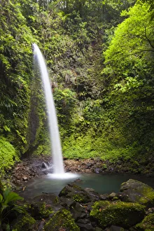 Dominica, Penrice. The second of the twin Spanny Falls, known as Spanny Falls Number Two Dominica, Penrice. The second of the twin Spanny Falls, known as Spanny Falls Number Two