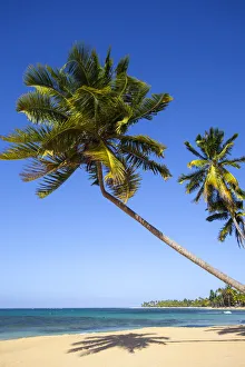 Dominican Republic, Samana Peninsula, Beach at Las Terrenas Dominican Republic, Samana Peninsula, Beach at Las Terrenas