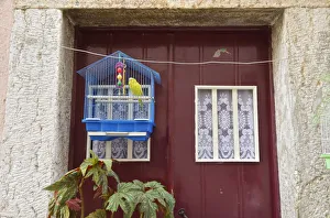 Door with bird in the Castelo district. Lisbon, Portugal Door with bird in the Castelo district. Lisbon, Portugal