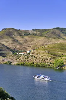 A Douro river cruise ship passing along the Quinta da Boavista A Douro river cruise ship passing along the Quinta da Boavista