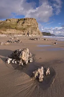 Coastal Landscape Photography UK Prints: Dramatic cliffs and sandy beaches at Fall Bay on the Gower Peninsula, Wales, UK. Winter