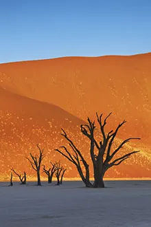 Dead Vlei Dune Print - Namib Naukluft National Park