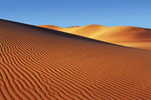 Dead Vlei Dune Print