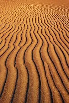 Southern Africa Desert Landscapes Prints: Dune structures - Namibia, Hardap, Namib, Sossus Vlei - Namib Naukluft National Park