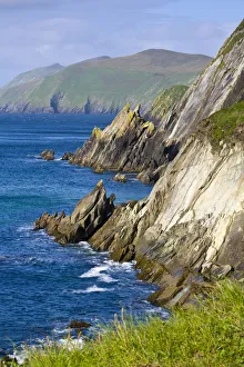 Dunmore Head looking towards the Blasket Islands, Dingle Peninsula, County Kerry, Munster Dunmore Head looking towards the Blasket Islands, Dingle Peninsula, County Kerry, Munster