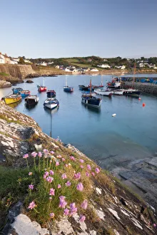 Early morning harbour scene at the picturesque fishing village of Coverack, South Early morning harbour scene at the picturesque fishing village of Coverack, South