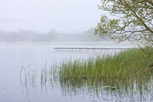 Early morning mist shrouds Llangorse Lake in the Brecon Beacons National Park, Powys Early morning mist shrouds Llangorse Lake in the Brecon Beacons National Park, Powys
