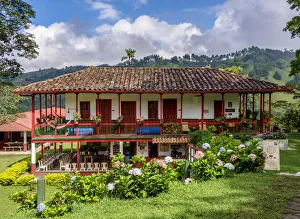 El Ocaso Farm, Salento, Quindio Department, Colombia El Ocaso Farm, Salento, Quindio Department, Colombia