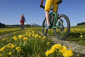 Electric cyclists at Erlstatt, Chiemgau, Upper Bavaria, Bavaria, Germany, Europe, MR Electric cyclists at Erlstatt, Chiemgau, Upper Bavaria, Bavaria, Germany, Europe, MR