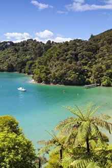 Elevated view over Picturesque Bay in Idyllic Kenepuru Sound, Marlborough Sounds Elevated view over Picturesque Bay in Idyllic Kenepuru Sound, Marlborough Sounds