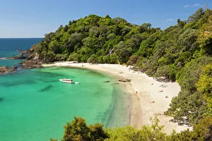 North Island Prints: Elevated View over Whale Bay Print, Northland, New Zealand