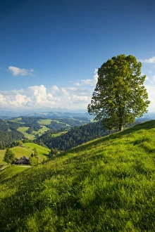 Emmental Valley, Berner Oberland, Switzerland Emmental Valley, Berner Oberland, Switzerland