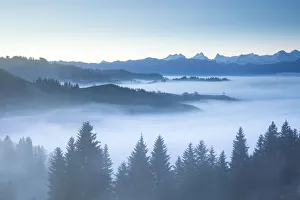 Emmental Valley and the Bernese Alps, Berner Oberland, Switzerland Emmental Valley and the Bernese Alps, Berner Oberland, Switzerland
