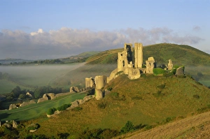 Prints of England, Dorset, Corfe Castle Corfe Castle Prints: Corfe Castle Print, Dorset England