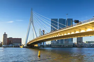 Erasmus Bridge (Erasmusbrug), Rotterdam, Zuid Holland, Netherlands Erasmus Bridge (Erasmusbrug), Rotterdam, Zuid Holland, Netherlands
