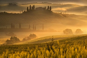 Europe, Italy, Belvedere farmhouse at dawn, province of Siena, Tuscany Europe, Italy, Belvedere farmhouse at dawn, province of Siena, Tuscany