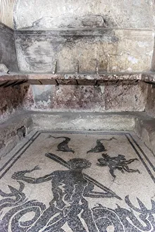 Europe, Italy, Campania. A mosaic on the floor of the old terme Europe, Italy, Campania. A mosaic on the floor of the old terme