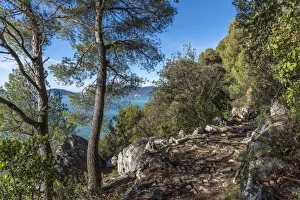 Europe, Italy, Liguria, Coastal trail near to Lerici Europe, Italy, Liguria, Coastal trail near to Lerici